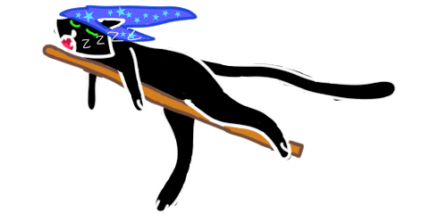 Black cat with a wizard hat sleeping on a flying brromstick